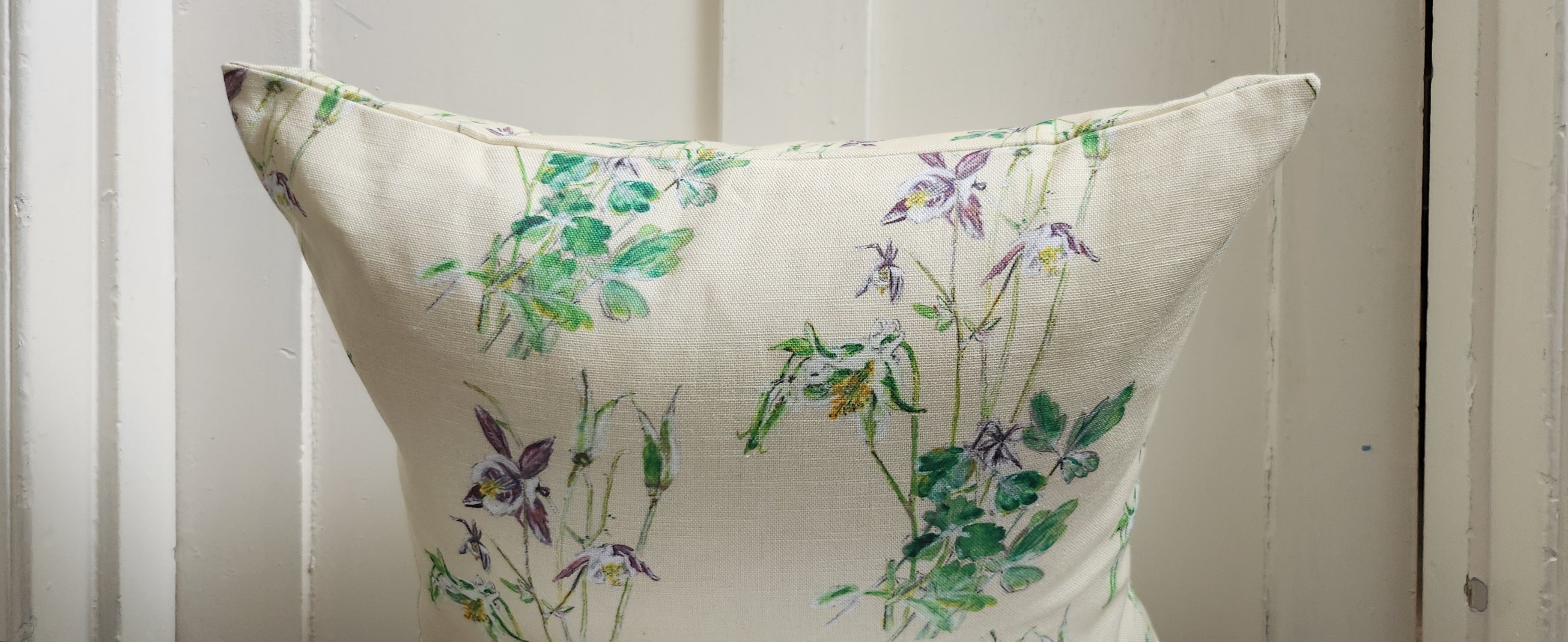 AQUILEGIA MAYxJUNE cover