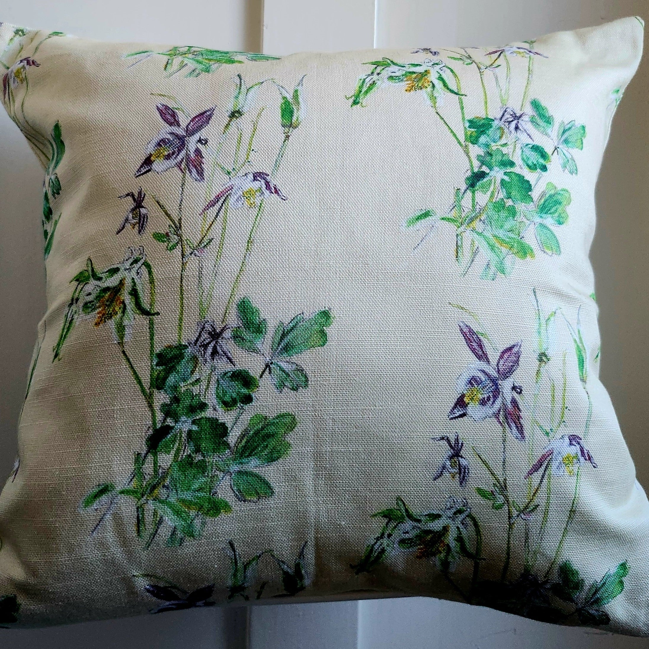 AQUILEGIA MAYxJUNE cover