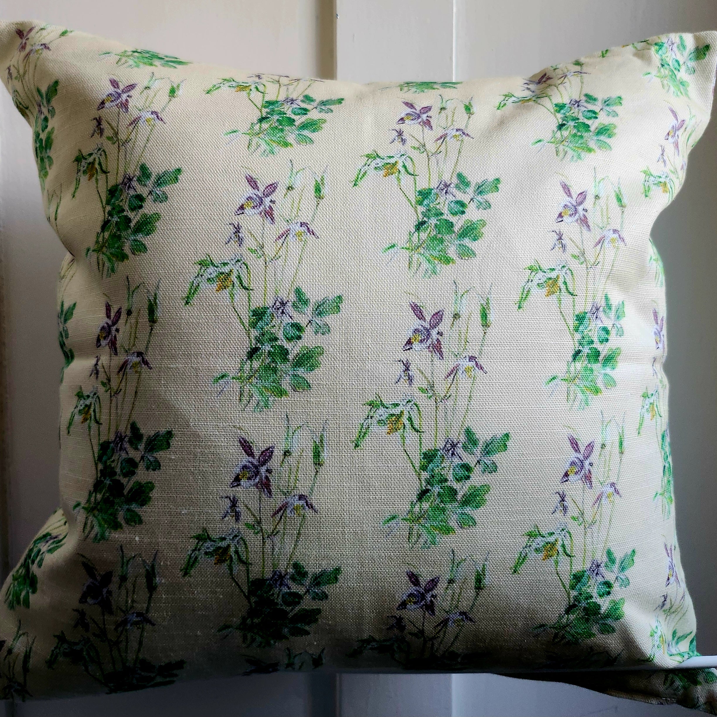 AQUILEGIA MAYxJUNE cover